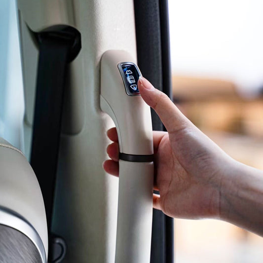 Middle Door Switch Button for WEY G9