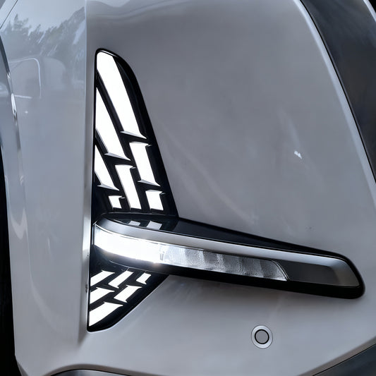 Grille Fog LED Light for Denza D9